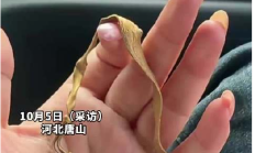 收花生找到姥姥丢了12年的金镯子 !网友:今年这花生老值钱了!