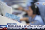 运营商版李逵和李鬼：央视揭秘“l0086”冒充“10086”的短信陷阱