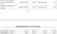 影石创新:第三季度营收 29.4 亿元,同比增长 92.64%