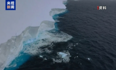 全球最大冰山加速解体 或撑不过2025年11月底 !