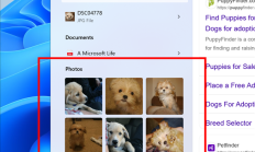 Windows 11搜索迎来全新功能!可搜索图片并显示结果