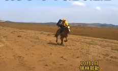 游客在大草原点外卖 骑手小哥飞马追车送达 网友:遇到了真骑手 不白来 !