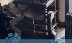 四川成都一男子未拔充电器引发火灾,客厅“被烧光”损失十余万元