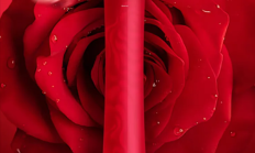 售价3.2万!董明珠回应玫瑰空调争议:这是世界首台 你不喜欢有人喜欢 !