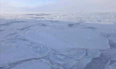 
        		研究：南极地区海底甲烷渗出速度惊人 全球变暖风险加剧 !	