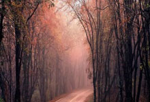 滕州张某某骑电车闯红灯被撞,负全责!视频→