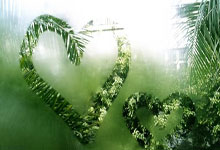 滕州张某某骑电车闯红灯被撞,负全责!视频→