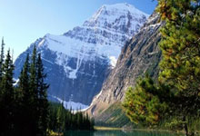 最后一舞?詹皇执行下赛季5260万球员选项,詹嫂明确希望他明年退休